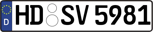 HD-SV5981