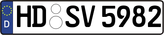 HD-SV5982