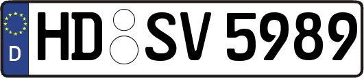 HD-SV5989