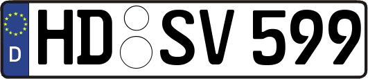 HD-SV599