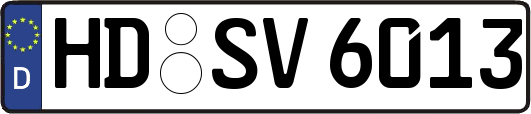 HD-SV6013