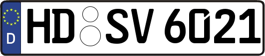 HD-SV6021