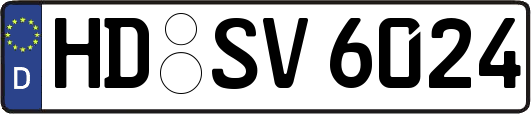 HD-SV6024