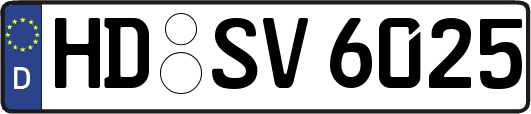 HD-SV6025