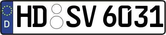HD-SV6031