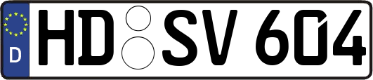 HD-SV604