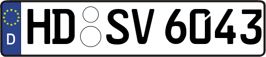 HD-SV6043