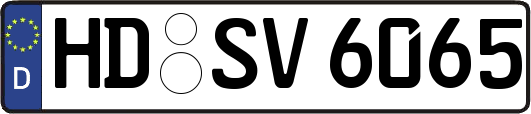 HD-SV6065