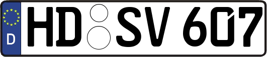 HD-SV607