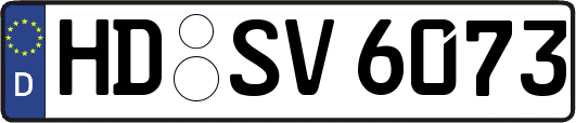 HD-SV6073