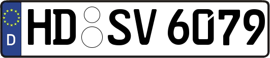 HD-SV6079
