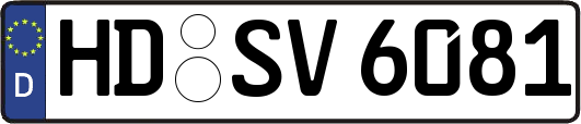 HD-SV6081