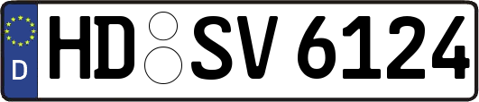 HD-SV6124