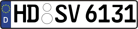 HD-SV6131