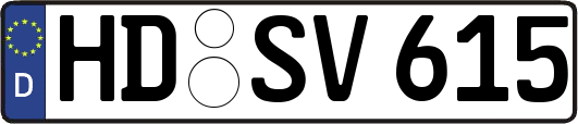 HD-SV615