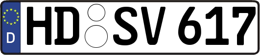 HD-SV617