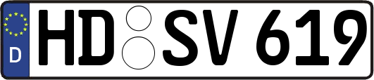 HD-SV619