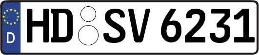 HD-SV6231