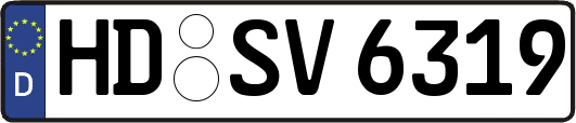 HD-SV6319