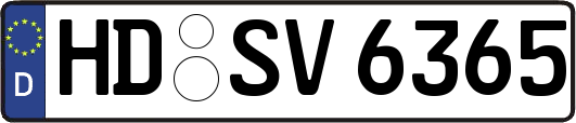 HD-SV6365