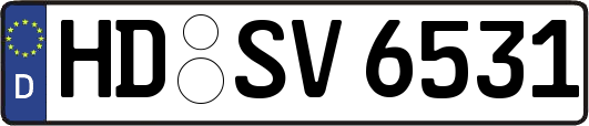 HD-SV6531