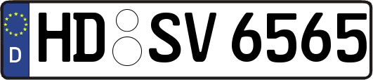 HD-SV6565