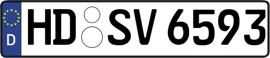 HD-SV6593
