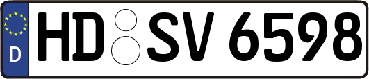 HD-SV6598