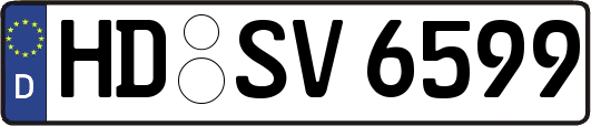 HD-SV6599