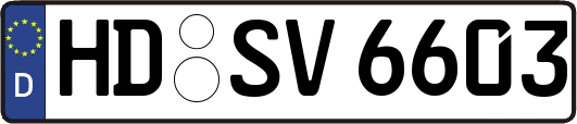 HD-SV6603