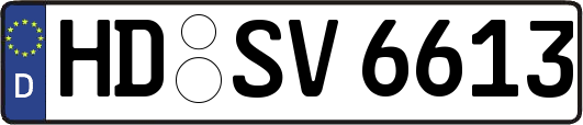 HD-SV6613