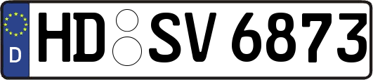 HD-SV6873