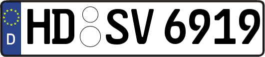 HD-SV6919