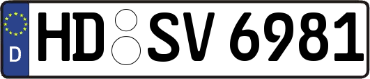 HD-SV6981