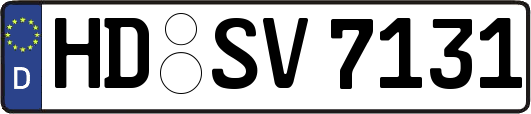 HD-SV7131