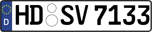 HD-SV7133