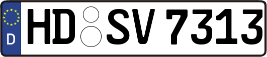HD-SV7313