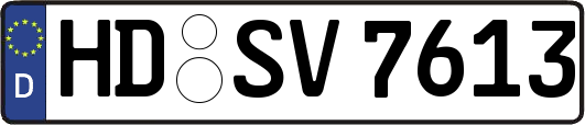 HD-SV7613