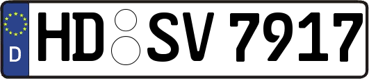 HD-SV7917