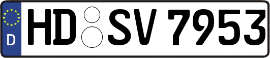 HD-SV7953