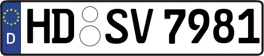 HD-SV7981
