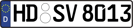 HD-SV8013