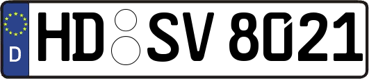HD-SV8021