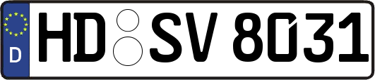 HD-SV8031