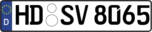 HD-SV8065