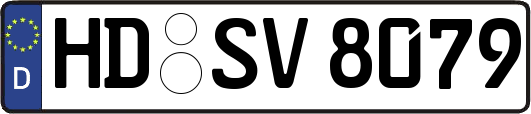 HD-SV8079