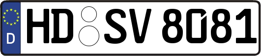 HD-SV8081