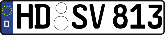 HD-SV813