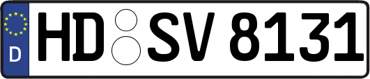 HD-SV8131