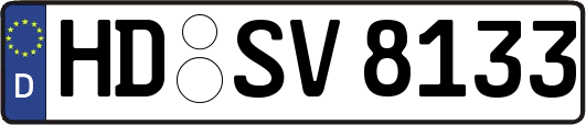 HD-SV8133